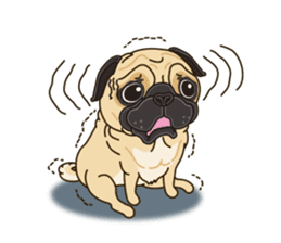 A sticker willingly. Pug sticker #10013174