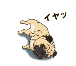 A sticker willingly. Pug sticker #10013175