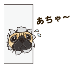 A sticker willingly. Pug sticker #10013179
