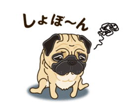 A sticker willingly. Pug sticker #10013180