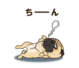 A sticker willingly. Pug sticker #10013182