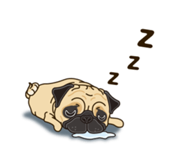 A sticker willingly. Pug sticker #10013183
