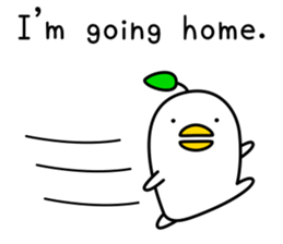 odd bird8(English) sticker #10016047