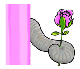 Online animal sticker #10016546