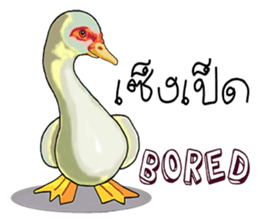 Online animal sticker #10016569