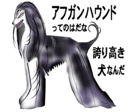 Afghan Hound sticker #10016725