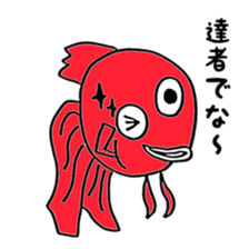 Samurai goldfish sticker #10018899