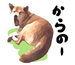 Sticker Shibainu(vol2) sticker #10019835