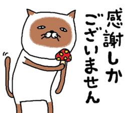 siam-neko mark 2 sticker #10021049