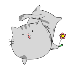 Gray-Nyanko