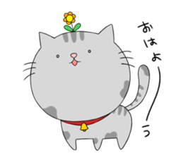 akinami