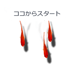 Goldfish to talk sticker #10024668