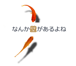 Goldfish to talk sticker #10024671