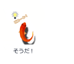Goldfish to talk sticker #10024673