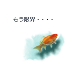 Goldfish to talk sticker #10024674