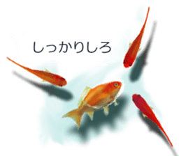 Goldfish to talk sticker #10024675