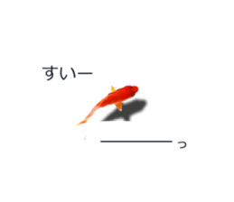 Goldfish to talk sticker #10024685