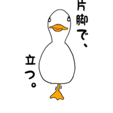 Of rich emotion duck sticker #10025632