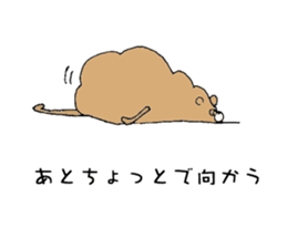 My bears sticker #10027955