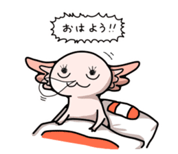 Mr.Axolotl 's sticker3 sticker #10028024