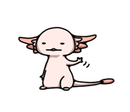 Mr.Axolotl 's sticker3 sticker #10028031