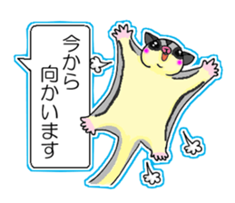 A balloon of sugar glider(Honorific ver) sticker #10029001