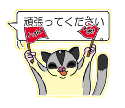 A balloon of sugar glider(Honorific ver) sticker #10029005