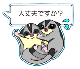 A balloon of sugar glider(Honorific ver) sticker #10029008