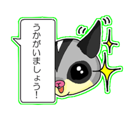 A balloon of sugar glider(Honorific ver) sticker #10029022