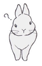 Realistic Hare and Tortoise sticker #10029029