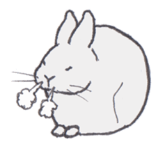 Realistic Hare and Tortoise sticker #10029043