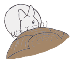 Realistic Hare and Tortoise sticker #10029055