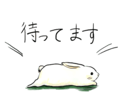 light-colored rabbit sticker #10029391
