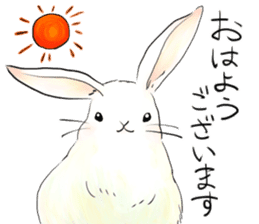 light-colored rabbit sticker #10029393