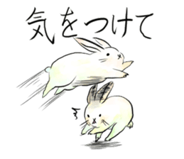 light-colored rabbit sticker #10029394