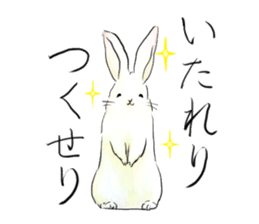 light-colored rabbit sticker #10029399