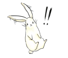 light-colored rabbit sticker #10029401