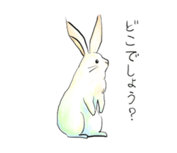 light-colored rabbit sticker #10029405