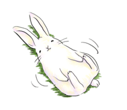 light-colored rabbit sticker #10029408