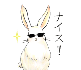 light-colored rabbit sticker #10029410