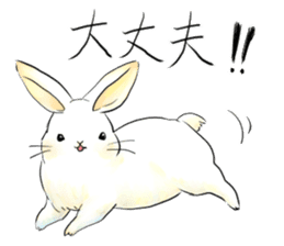 light-colored rabbit sticker #10029411