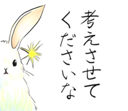 light-colored rabbit sticker #10029415