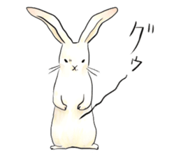 light-colored rabbit sticker #10029418