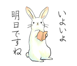 light-colored rabbit sticker #10029419