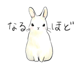 light-colored rabbit sticker #10029422