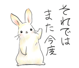 light-colored rabbit sticker #10029423