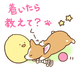 Chinchilla Golden Corgi and animals sticker #10031977
