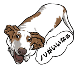 Basset hound 6 sticker #10032488