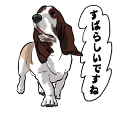 Basset hound 6 sticker #10032489