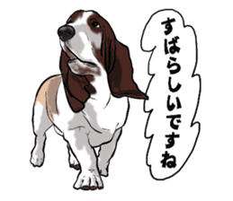 Basset hound 6 sticker #10032489